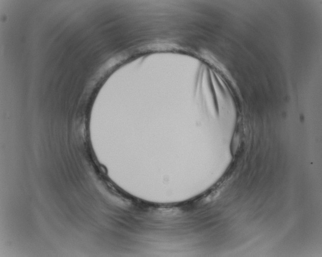 X0000067920063200605112019