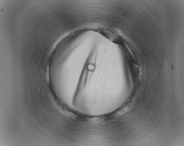 X0000067920064200605112019