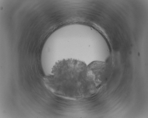 X0000067920065200605112019