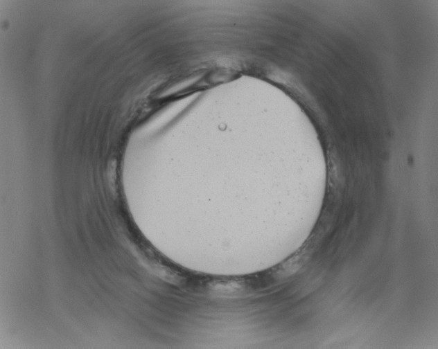 X0000067920066200605112019