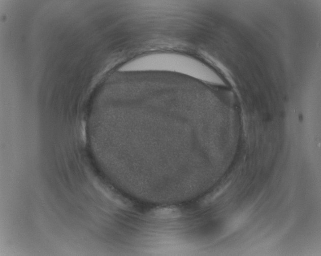 X0000067920067200605112019