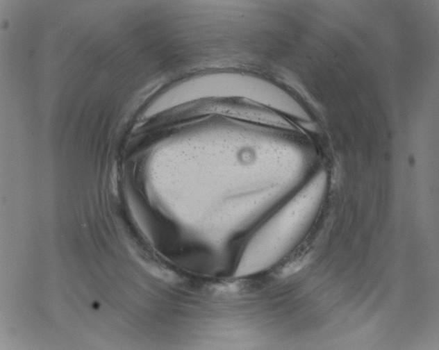 X0000067920068200605112019