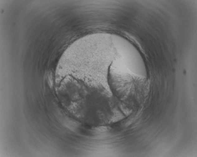 X0000067920069200605112019