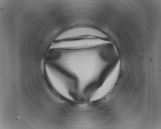 X0000067920070200605112019