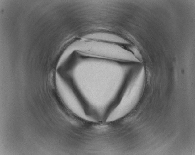 X0000067920071200605112019