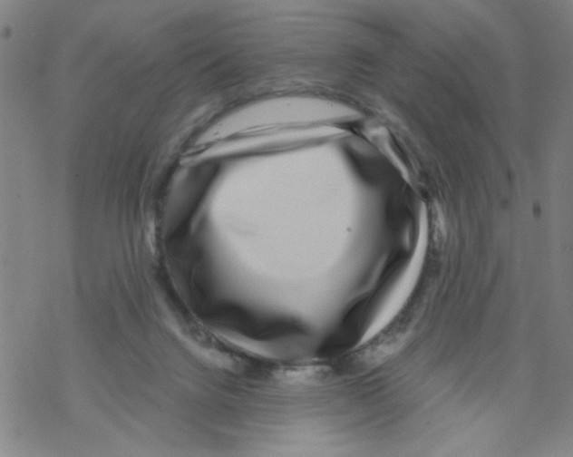 X0000067920072200605112019