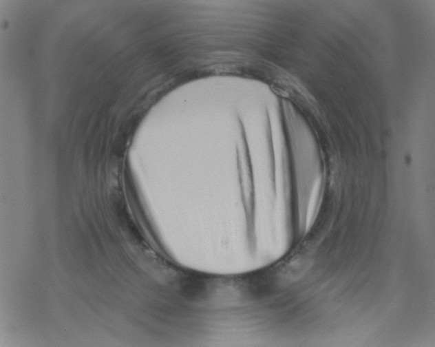 X0000067920073200605112019