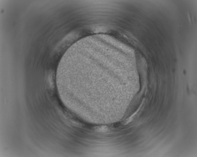 X0000067920074200605112019