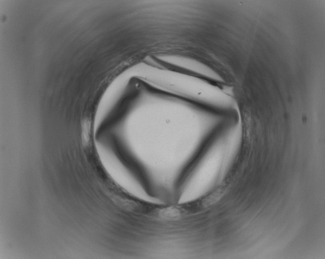 X0000067920075200605112019