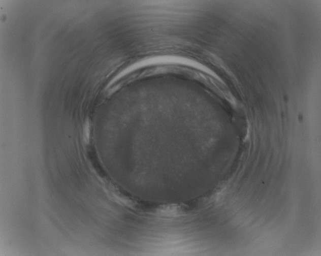 X0000067920076200605112019