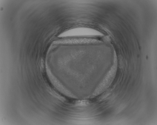 X0000067920077200605112019