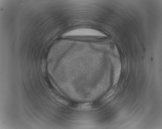 X0000067920078200605112019