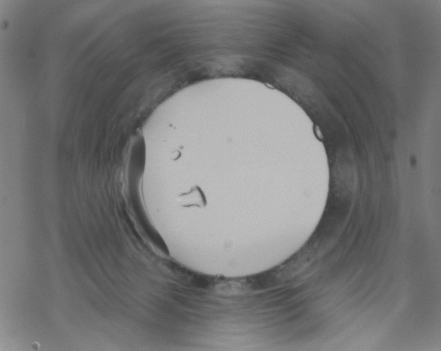 X0000067920079200605112019