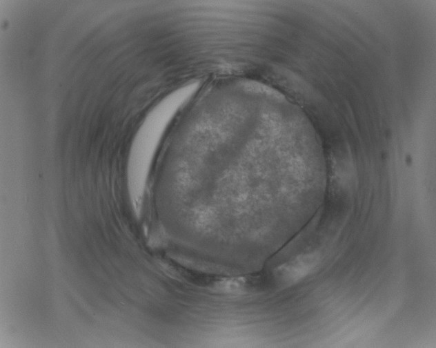 X0000067920080200605112019