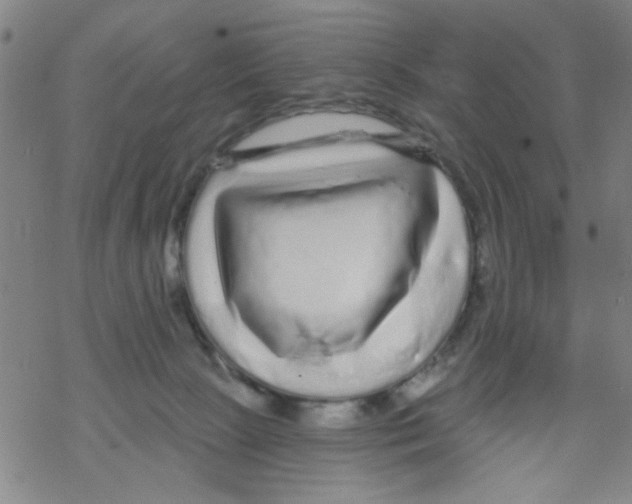 X0000067920081200605112019