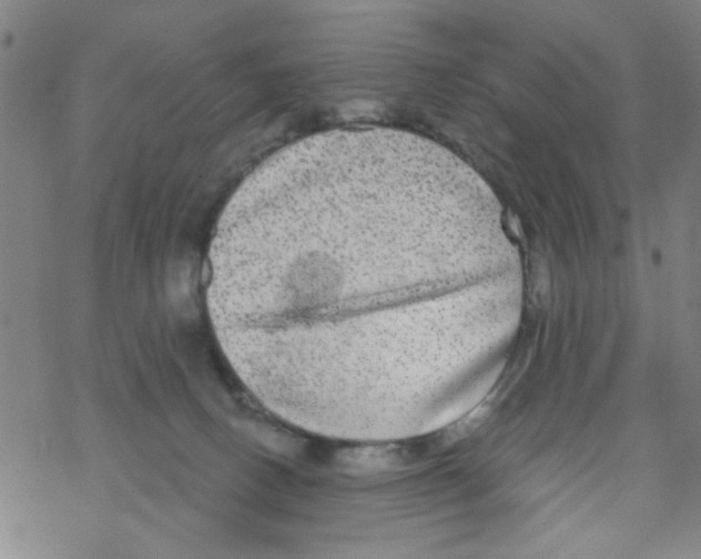 X0000067920082200605112019