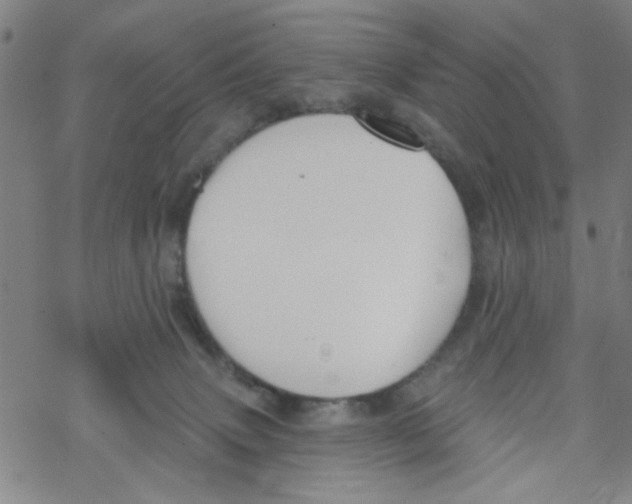 X0000067920083200605112019