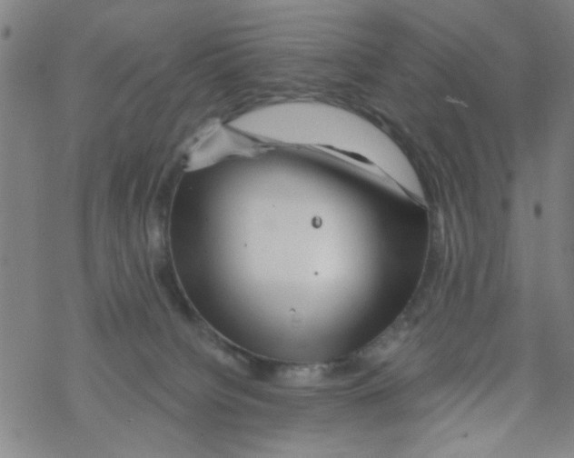 X0000067920084200605112019