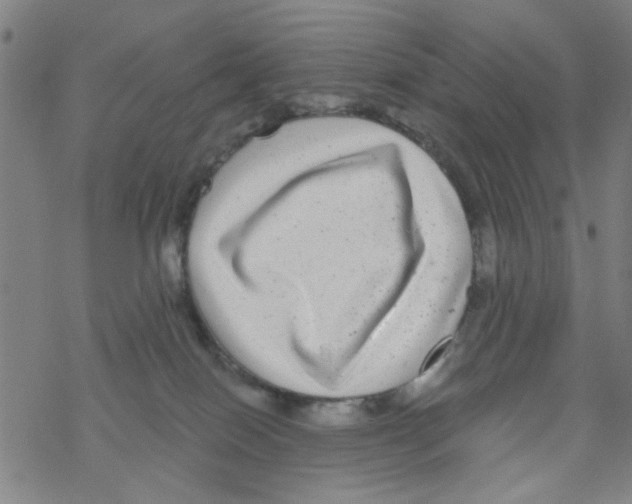 X0000067920086200605112019