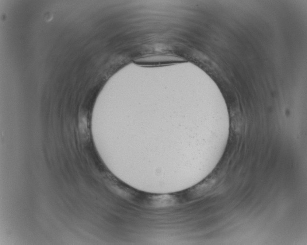 X0000067920087200605112019