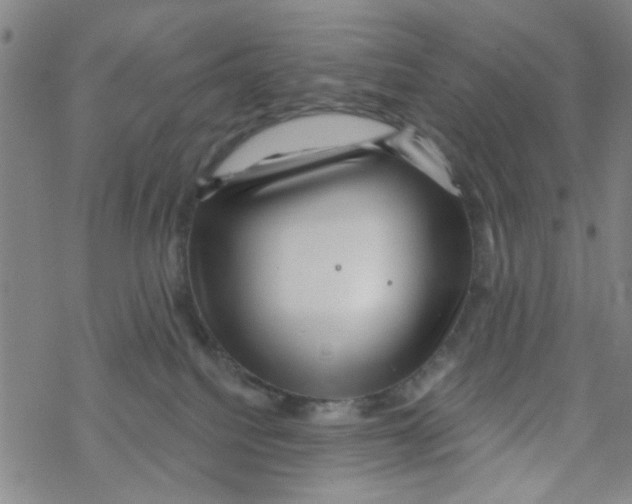 X0000067920088200605112019