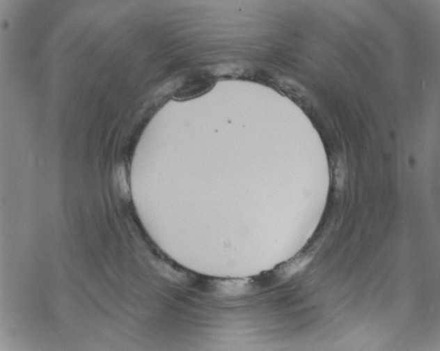 X0000067920089200605112019