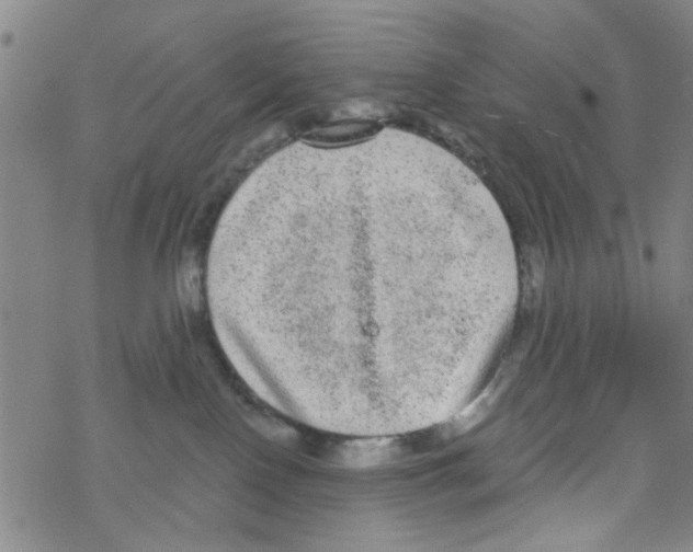 X0000067920090200605112019