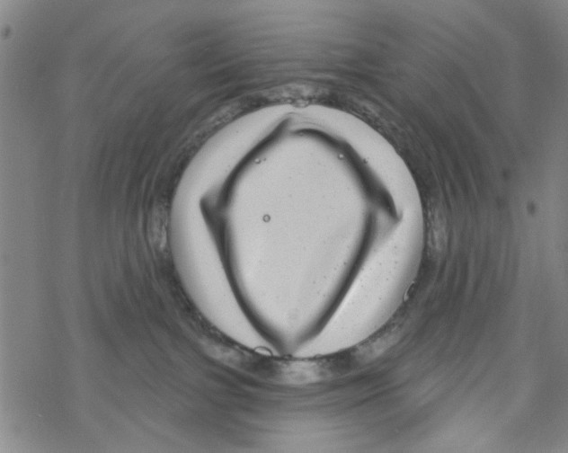 X0000067920091200605112019