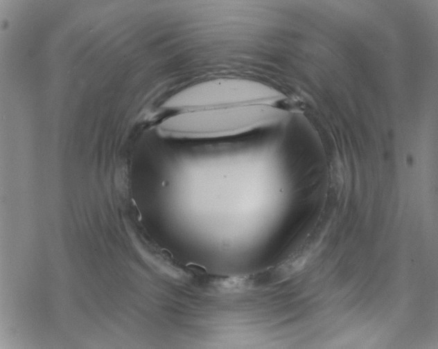 X0000067920092200605112019