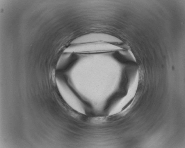 X0000067920094200605112019