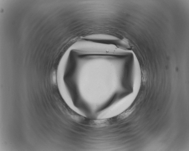 X0000067920095200605112019