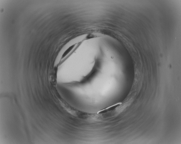 X0000067920096200605112019