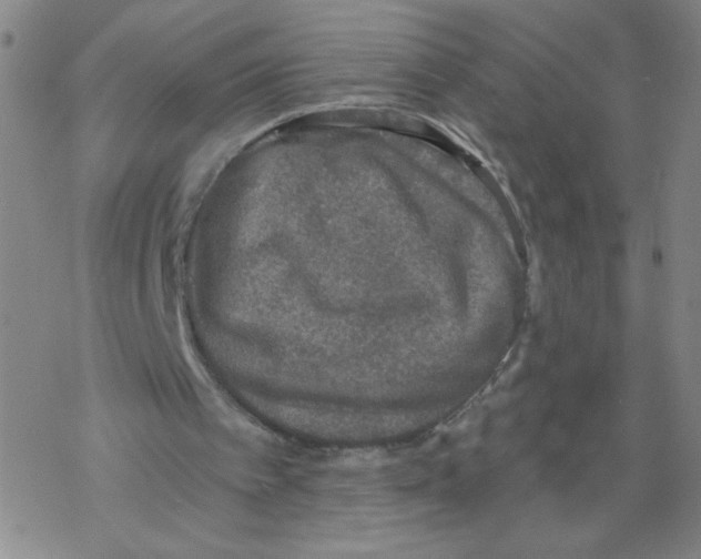 X0000067920097200605112019