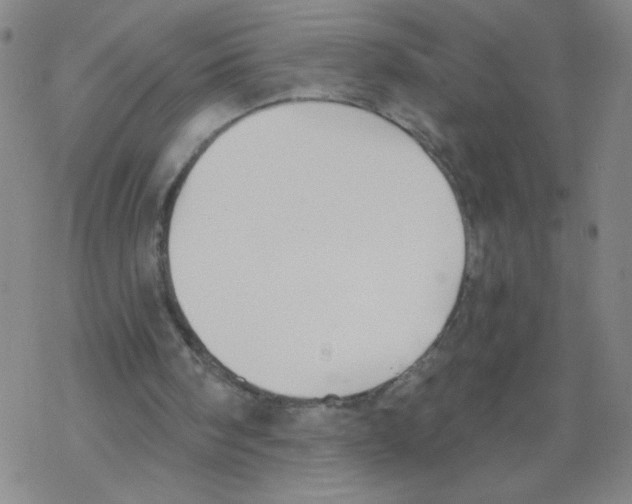 X0000067920098200605112019