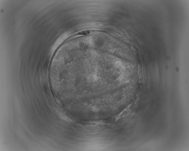 X0000067920099200605112019