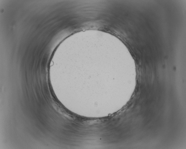 X0000067920100200605112018