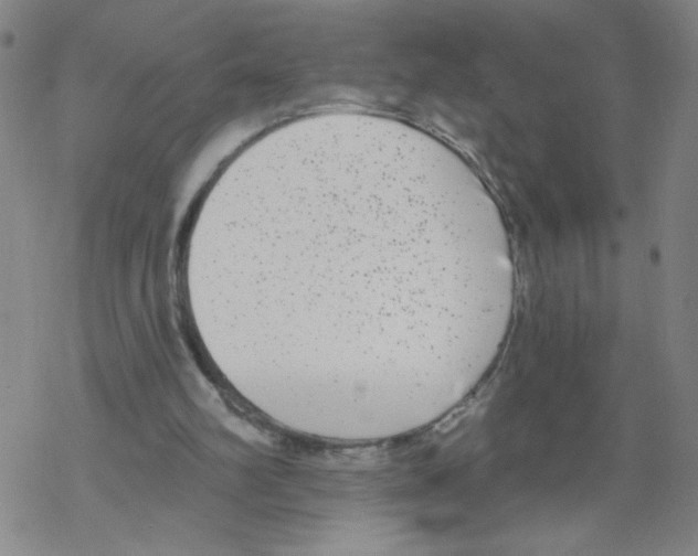 X0000067920102200605112018