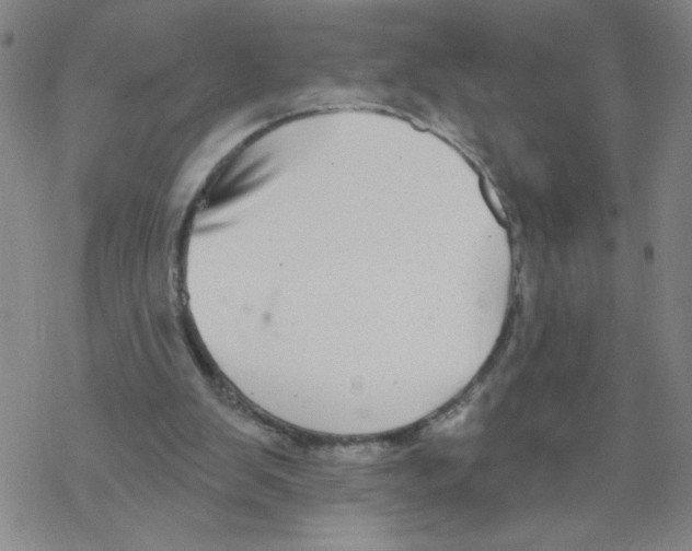 X0000067920103200605112018