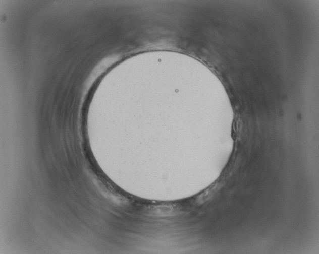 X0000067920104200605112018