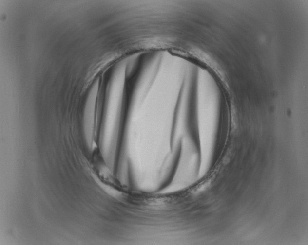 X0000067920105200605112018