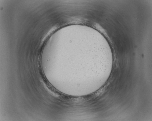 X0000067920106200605112018