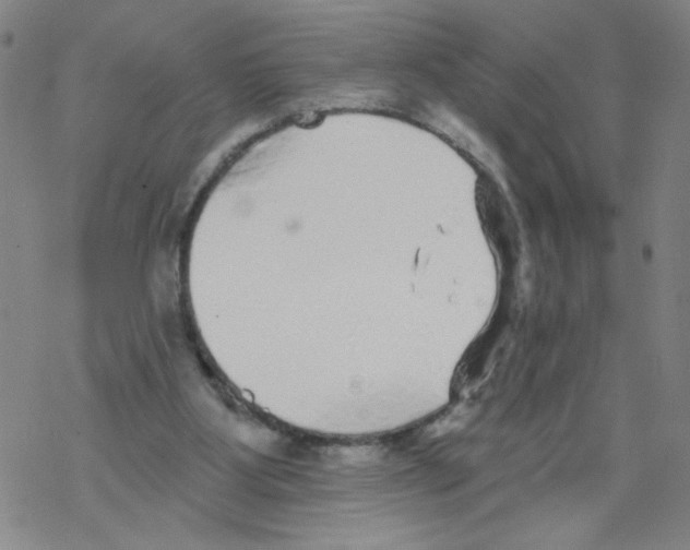 X0000067920107200605112018