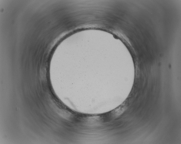 X0000067920108200605112018