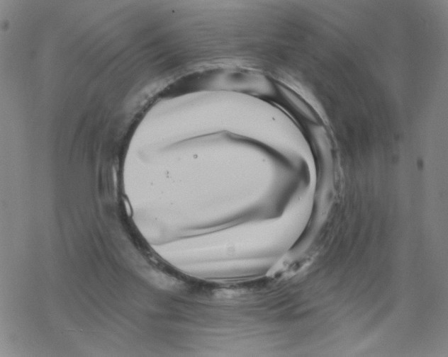 X0000067920109200605112018