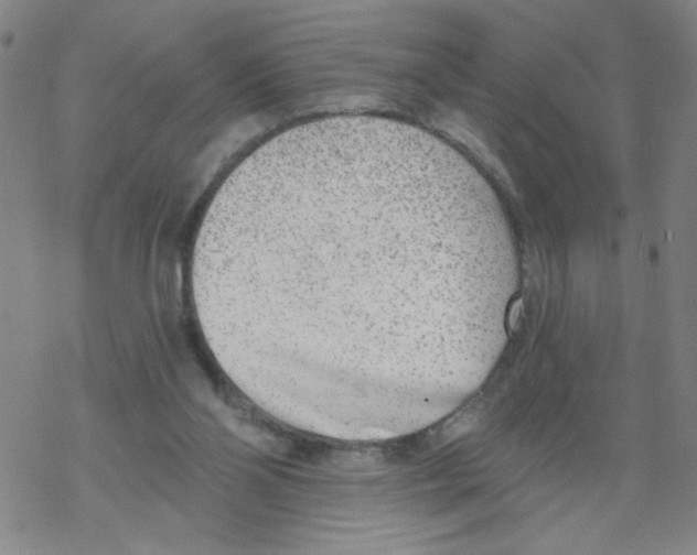 X0000067920110200605112018