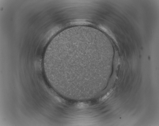 X0000067920111200605112018