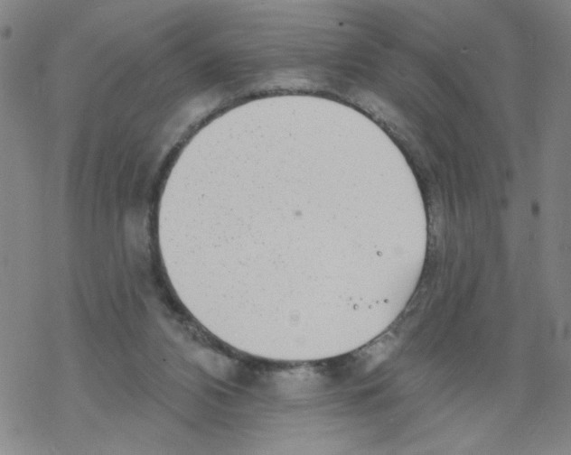 X0000067920112200605112018