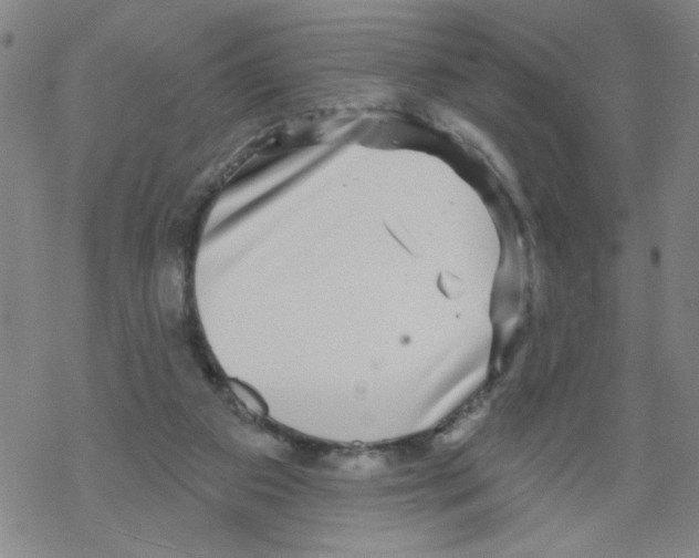 X0000067920113200605112018