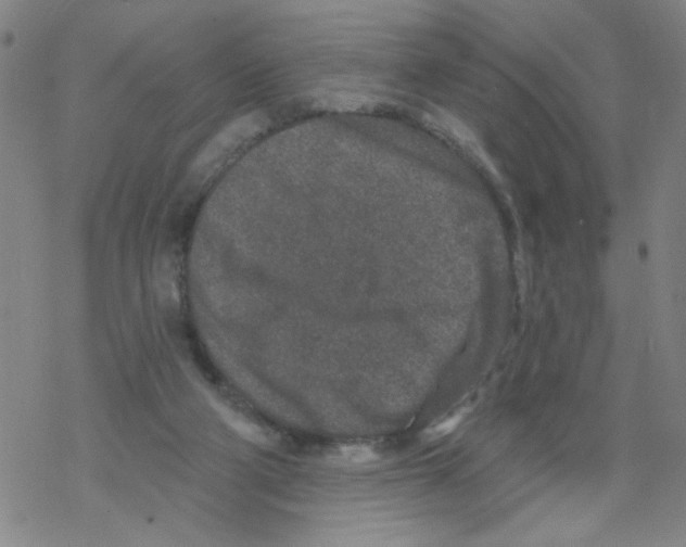 X0000067920114200605112018