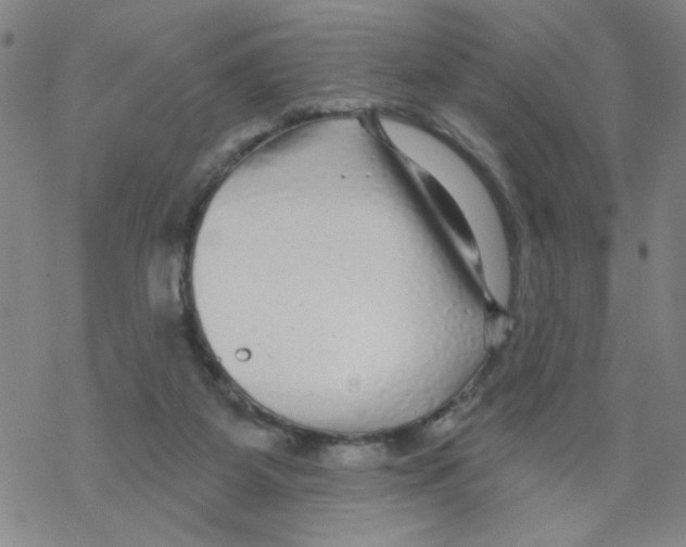 X0000067920115200605112018